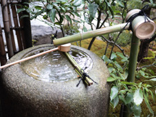 The inside of a store like Japanese garden