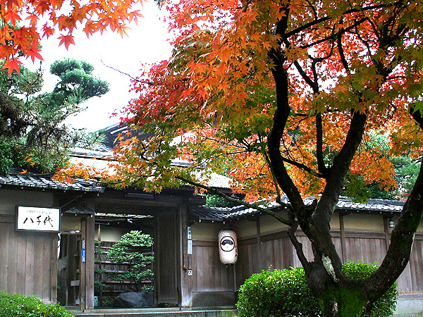 京都庭園旅館　八千代