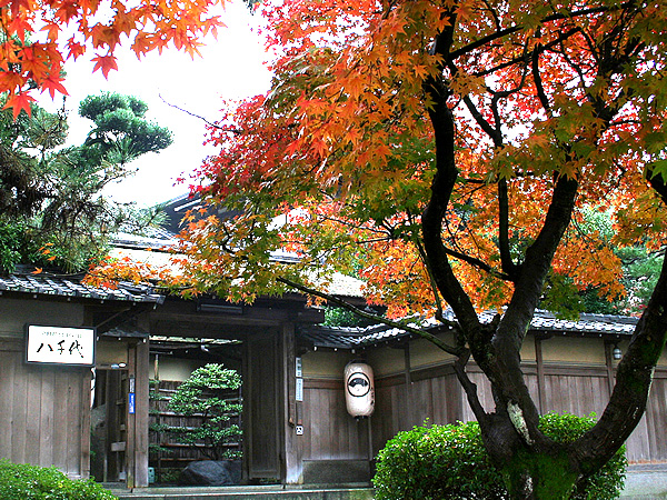 京都庭園旅館　八千代(旅館)