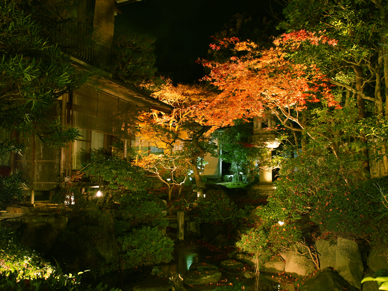 Gardens with real ponds or spring