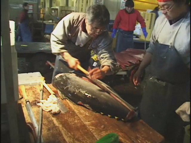 Tukiji fishmarket(Fishmarket)